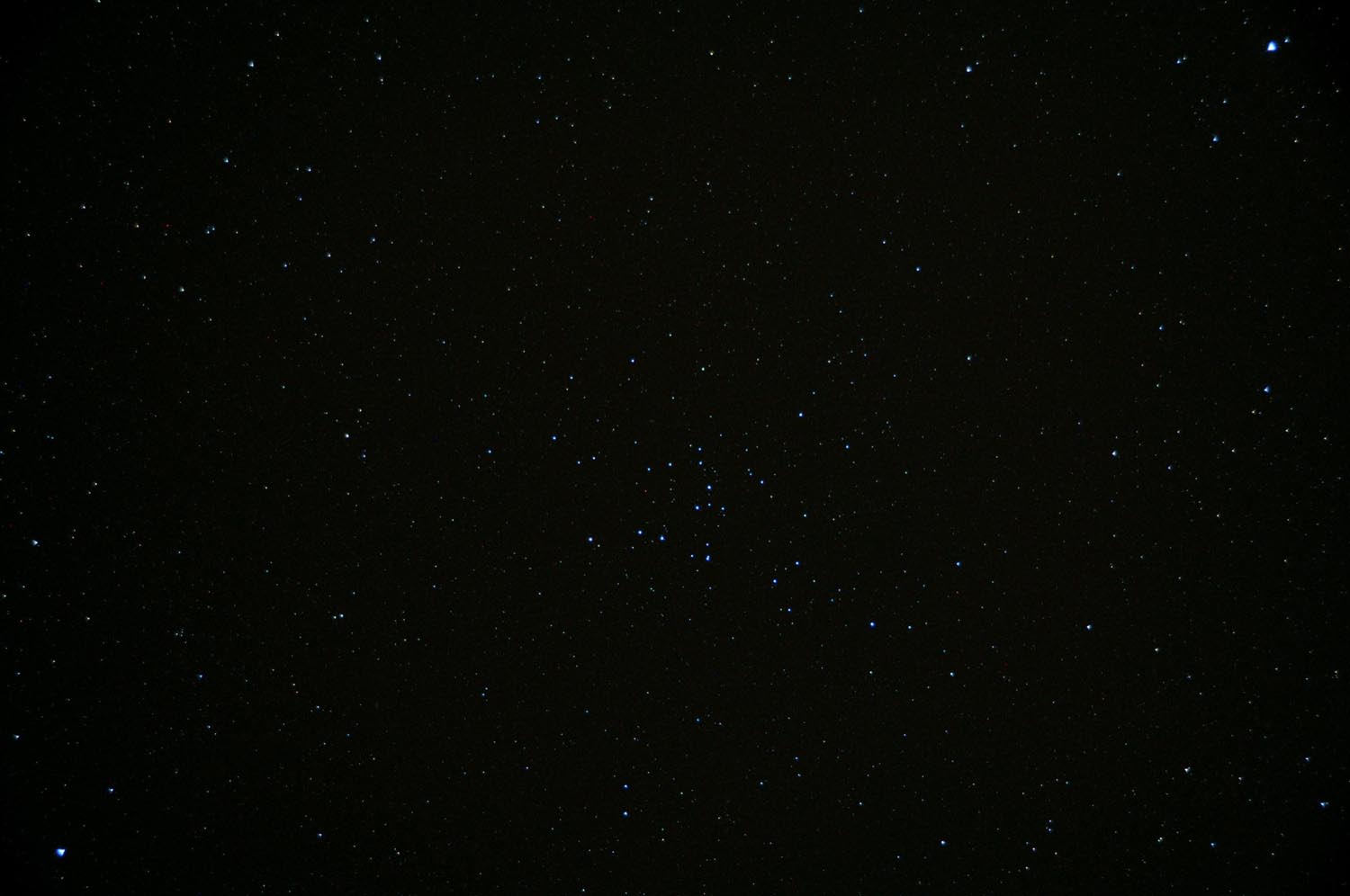 Coma Cluster