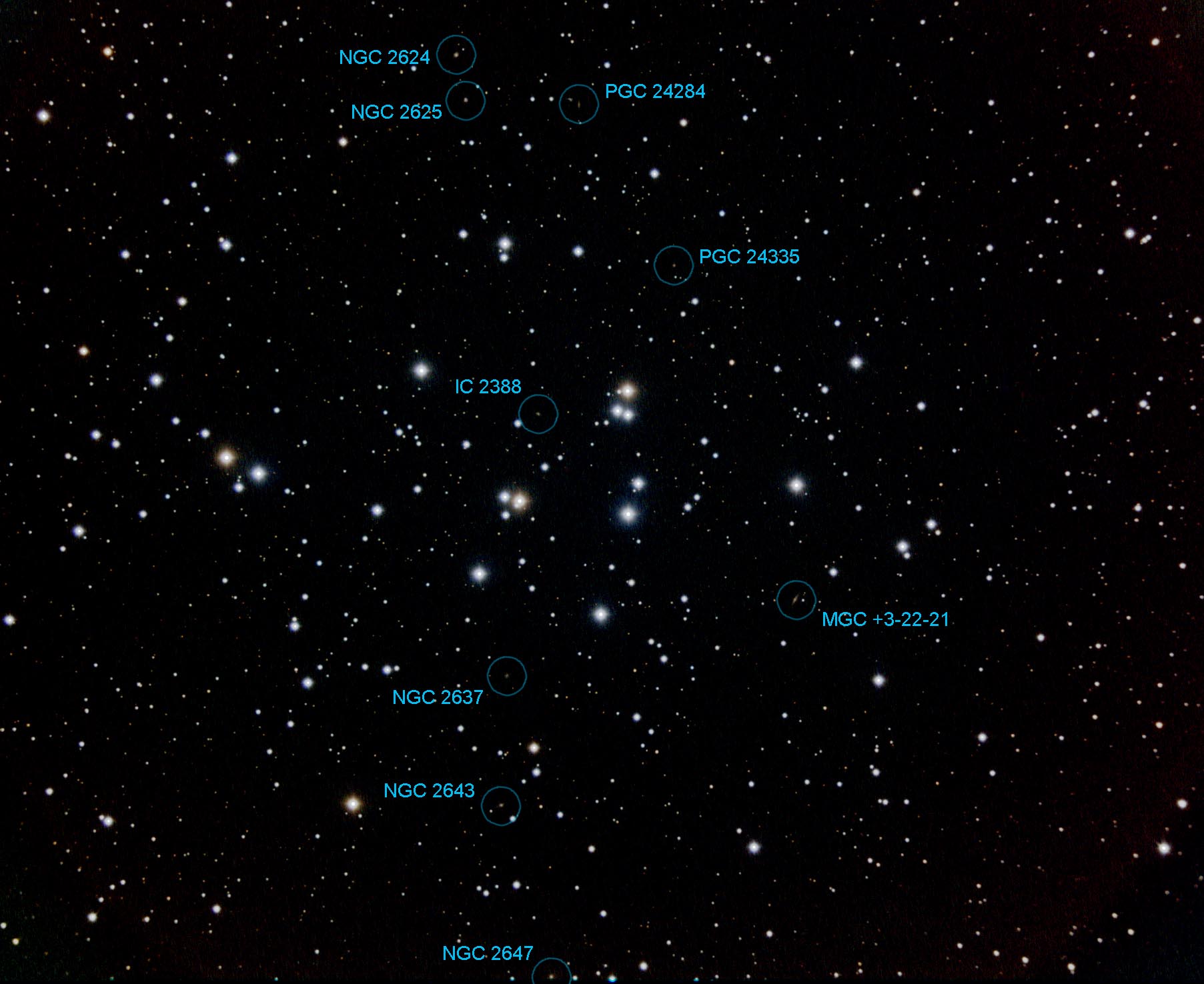 m44 gal