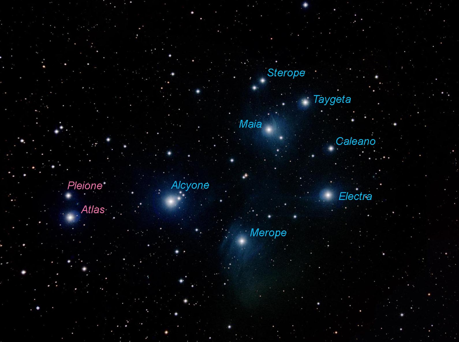 m44